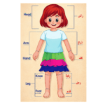 My Body Puzzle S - Girl