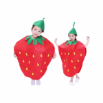 Fancy Dress - Strawberry