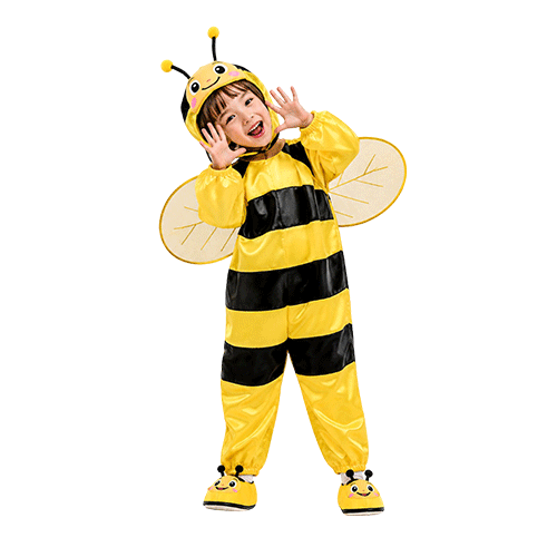 Bee Costume Kids Costume in Qatar