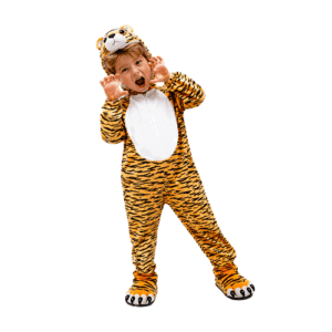 Tiger Costume Kids Costume in Qatar